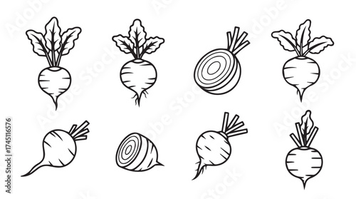 Hand drawn sketch collection of fresh beets root vegetables with leaves isolated on white vector