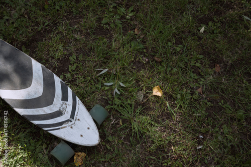 skateboard on grass in city park