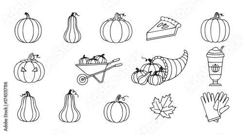 Hand drawn thanksgiving autumn harvest elements set featuring pumpkins gourds pie wheelbarrow cornucopia and leaves vector