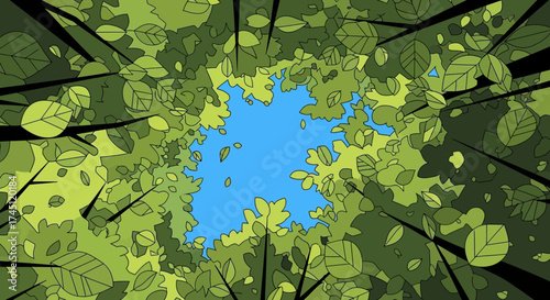 Looking up through the trees at the sky in a forest.