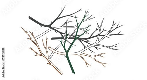 A cluster of bare tree branches in various colors, including dark gray, light gray, brown, and dark green, overlapping on a white background.