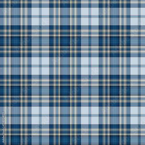Blue and white plaid fabric with a seamless checkered pattern suitable for a textile design or wallpaper backdrop