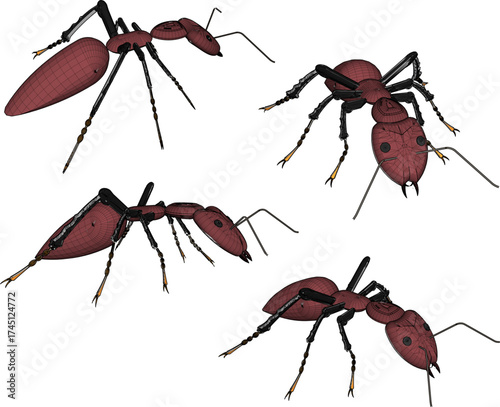 Vector sketch illustration of a poisonous red ant insect animal design with stingers and pincers on its face 