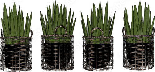 Vector sketch illustration of decorative design of decorative cactus plants in pots 