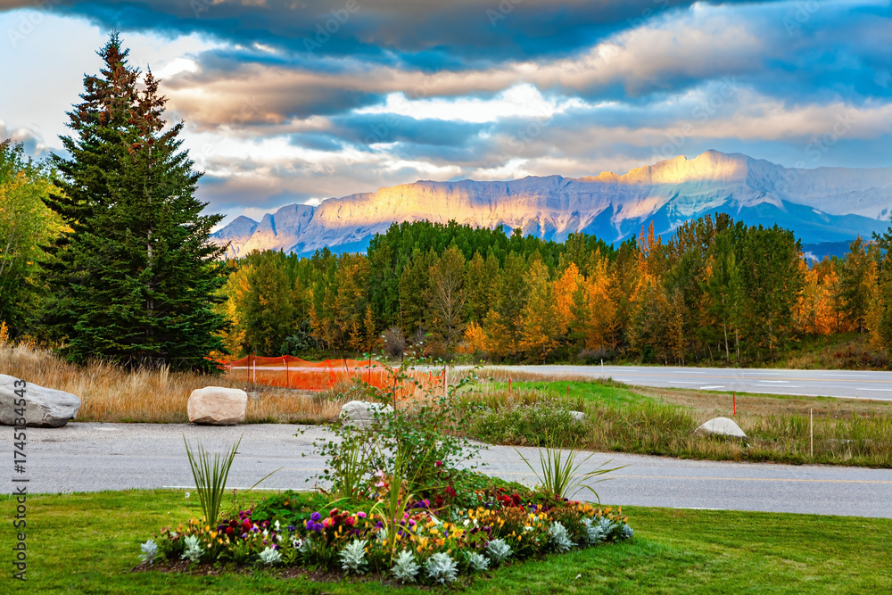 Fotografie Lovely flowerbed in bloom