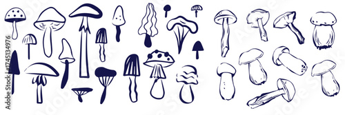 Outline mushrooms doodle big set. Fungi hand drawn sketch of various shapes and sizes isolated on white background
