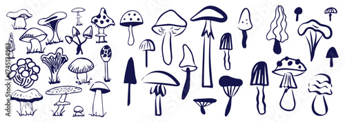 Outline mushrooms doodle big set. Fungi hand drawn sketch of various shapes and sizes isolated on white background
