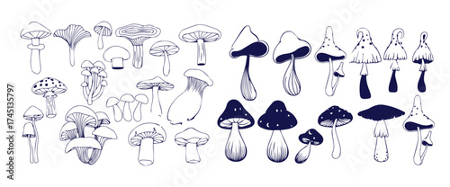 Outline mushrooms doodle big set. Fungi hand drawn sketch of various shapes and sizes isolated on white background