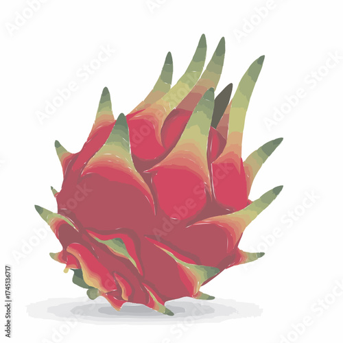 Ared dragon fruit vector illustration 