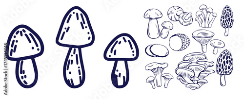 Outline mushrooms doodle big set. Fungi hand drawn sketch of various shapes and sizes isolated on white background
