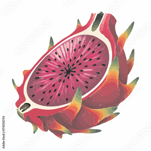 red dragon fruit vector illustration 