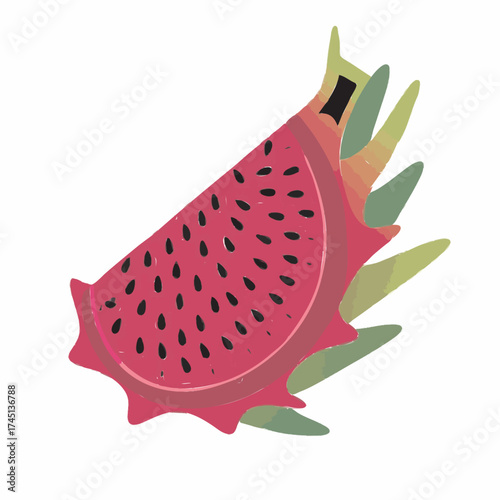 red dragon fruit vector illustration 
