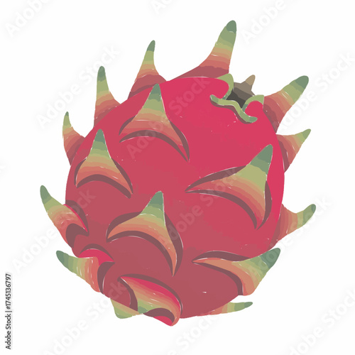 red dragon fruit vector illustration 