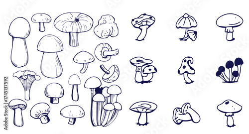 Outline mushrooms doodle big set. Fungi hand drawn sketch of various shapes and sizes isolated on white background