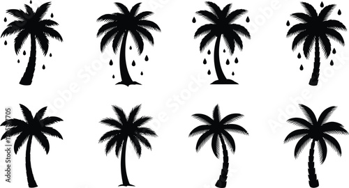 Vector art of collection of eight black silhouette palm trees with different trunk shapes and frond styles, isolated on a