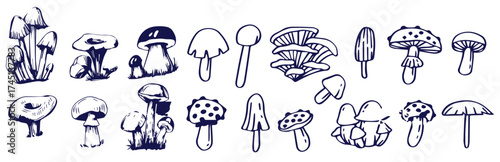 Outline mushrooms doodle big set. Fungi hand drawn sketch of various shapes and sizes isolated on white background