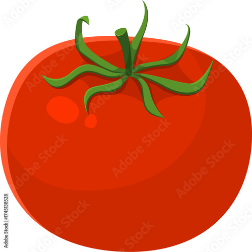 Thanksgiving holiday tomato harvest cartoon fall season object. Autumn tomato harvest, fall season isolated vector food. Happy Thanksgiving holiday object with ripe red tomato farm vegetable