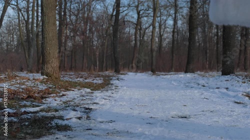 A man dressed as Santa Claus picks up a bottle of whiskey standing in the snow in a forest