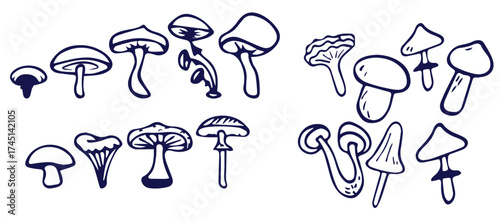 Outline mushrooms doodle big set. Fungi hand drawn sketch of various shapes and sizes isolated on white background