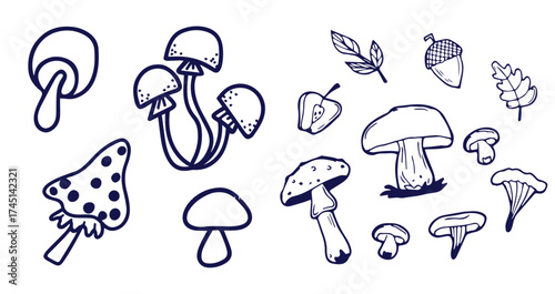 Outline mushrooms doodle big set. Fungi hand drawn sketch of various shapes and sizes isolated on white background