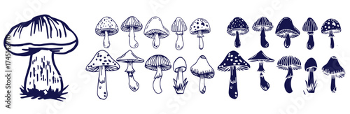 Outline mushrooms doodle big set. Fungi hand drawn sketch of various shapes and sizes isolated on white background