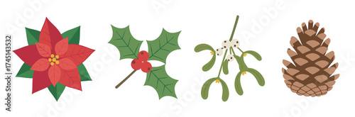 Festive botanical elements featuring a poinsettia, holly with red berries, mistletoe with white berries, and a pine cone on a white background.