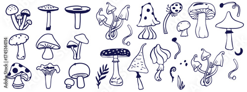 Outline mushrooms doodle big set. Fungi hand drawn sketch of various shapes and sizes isolated on white background