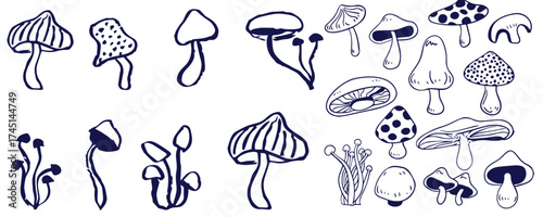Outline mushrooms doodle big set. Fungi hand drawn sketch of various shapes and sizes isolated on white background
