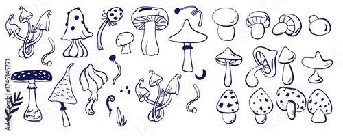 Outline mushrooms doodle big set. Fungi hand drawn sketch of various shapes and sizes isolated on white background