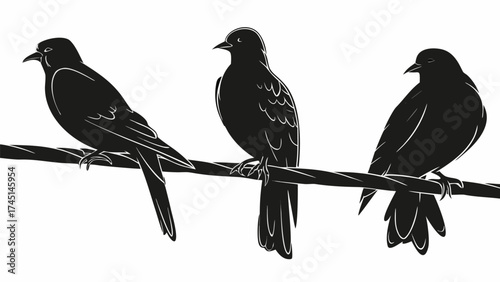 Three birds perched side by side on a branch, a minimalist wildlife scene in simple graphic style