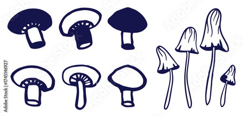 Outline mushrooms doodle big set. Fungi hand drawn sketch of various shapes and sizes isolated on white background