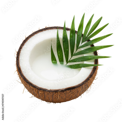 Wallpaper Mural Halved Coconut with White Liquid and Palm Leaf on Transparent Backdrop Torontodigital.ca