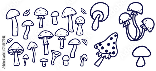 Outline mushrooms doodle big set. Fungi hand drawn sketch of various shapes and sizes isolated on white background