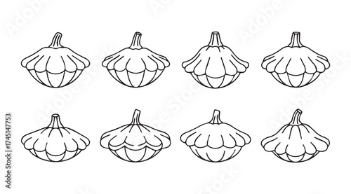 Hand drawn pattypan squash vegetables set isolated sketch botanical art food ingredient collection vector