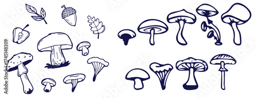 Outline mushrooms doodle big set. Fungi hand drawn sketch of various shapes and sizes isolated on white background