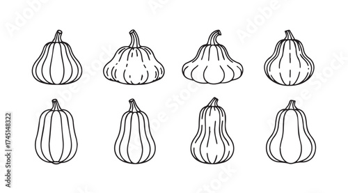 Collection of eight hand-drawn pumpkin varieties decorative elements for autumn harvest celebration vector