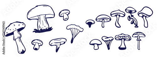 Outline mushrooms doodle big set. Fungi hand drawn sketch of various shapes and sizes isolated on white background