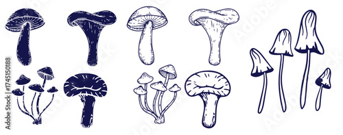 Outline mushrooms doodle big set. Fungi hand drawn sketch of various shapes and sizes isolated on white background