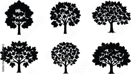 Tree silhouette collection with diverse canopy styles, black vector icons, abstract forest illustration, decorative tree designs, isolated foliage set, artistic elements