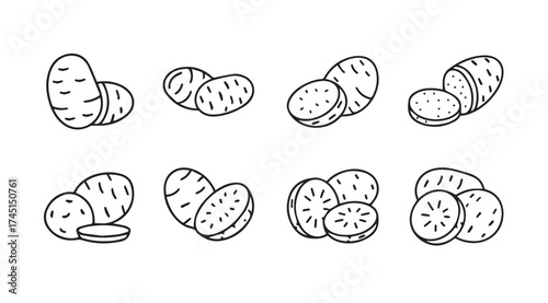 Hand drawn sketch collection of whole and sliced potatoes fresh root vegetables agricultural food vector