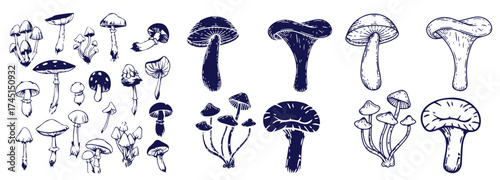 Outline mushrooms doodle big set. Fungi hand drawn sketch of various shapes and sizes isolated on white background