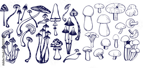 Outline mushrooms doodle big set. Fungi hand drawn sketch of various shapes and sizes isolated on white background