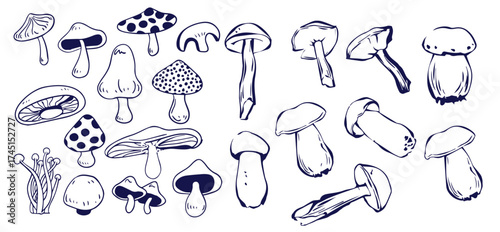 Outline mushrooms doodle big set. Fungi hand drawn sketch of various shapes and sizes isolated on white background