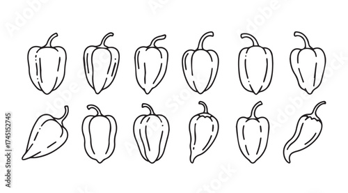 Hand drawn sketch collection of various bell peppers food ingredient fresh produce art vector