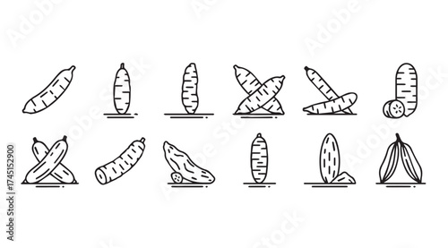 Fresh cassava root collection hand drawn sketches various angles isolated on vector