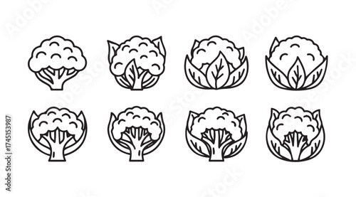 Collection of eight hand-drawn cauliflower icons featuring various styles and angles ideal for culinary or agricultural use vector