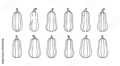 Collection of hand drawn autumn gourds and pumpkins in various shapes and sizes with stripes vector