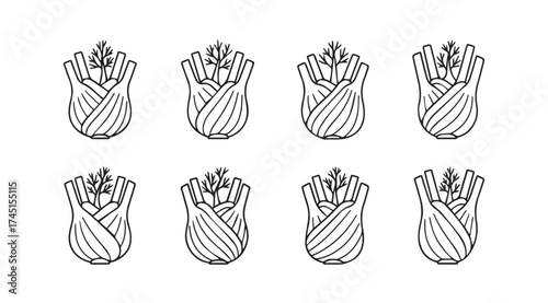 Eight hand drawn fennel bulbs arranged in a grid pattern for food and produce designs vector