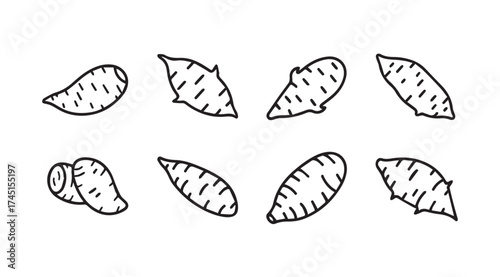 Hand drawn sweet potato collection isolated elements rustic food ingredient farm fresh harvest vector
