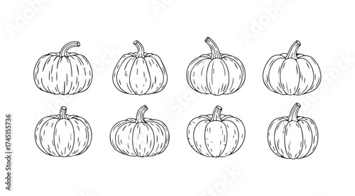 Collection of hand-drawn whimsical pumpkins for autumn harvest seasonal celebrations vector
